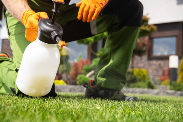 Best Local Pest Control Services  in Girard, PA
