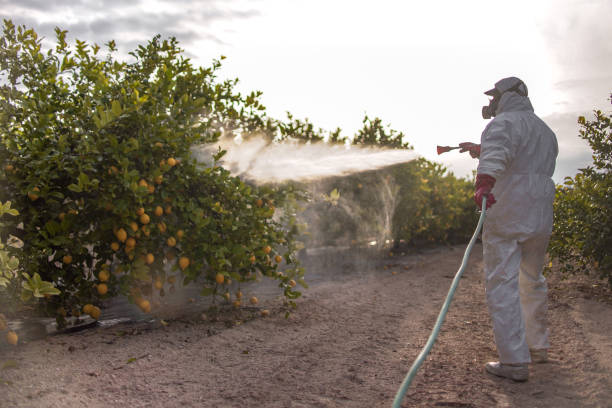 Best Bed Bug Extermination  in Girard, PA