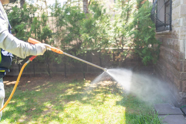 Best Mosquito Control Services  in Girard, PA