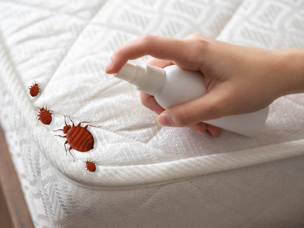 Flea Control Services in Girard, PA