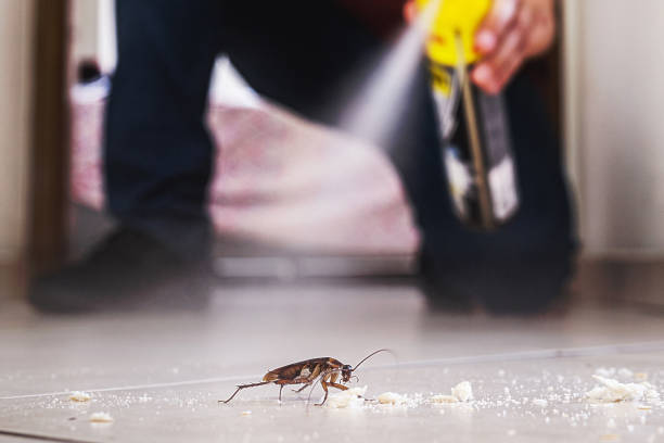 Pest Control Cost in Girard, PA