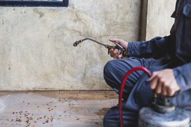Best Flea Control Services  in Girard, PA