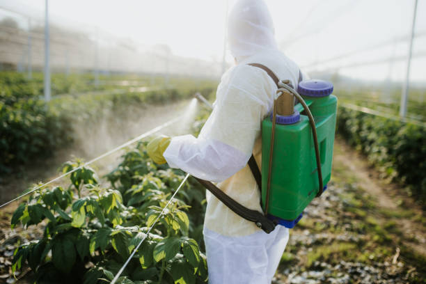 Best Best Pest Control Companies  in Girard, PA